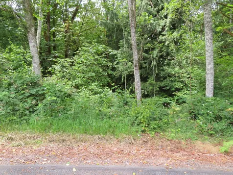 Valley View Drive Mossyrock WA 98564