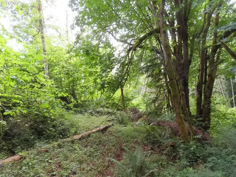 Valley View Drive Mossyrock WA 98564