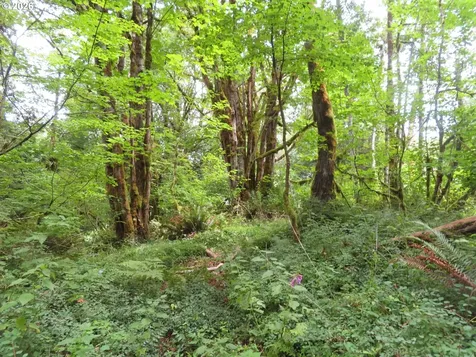 Valley View Drive Mossyrock WA 98564