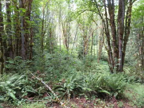 Valley View Drive Mossyrock WA 98564