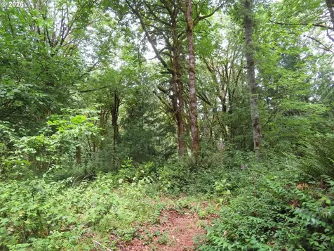 Valley View Drive Mossyrock WA 98564