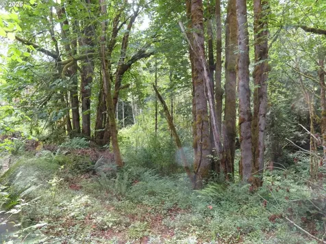 Valley View Drive Mossyrock WA 98564