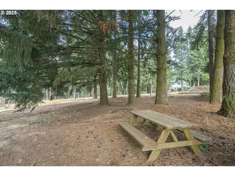 16775 NE Fairview Drive Dundee OR 97115