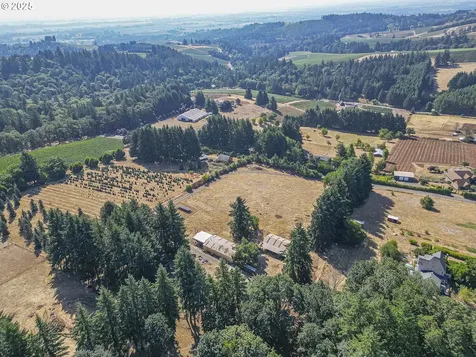 16775 NE Fairview Drive Dundee OR 97115