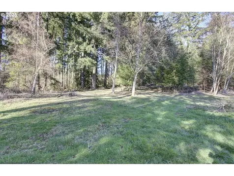 24216 NE 219th Street Battle Ground WA 98604