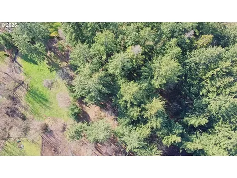 24216 NE 219th Street Battle Ground WA 98604