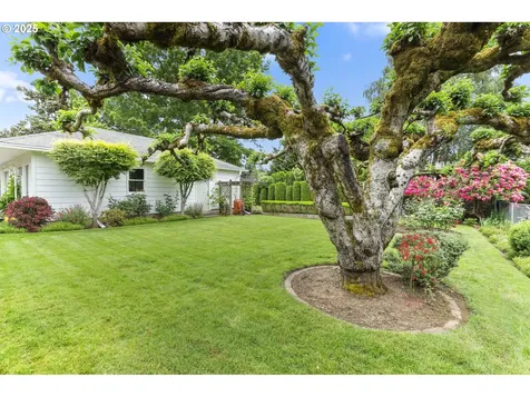 3532 SE Insley Street Portland OR 97202
