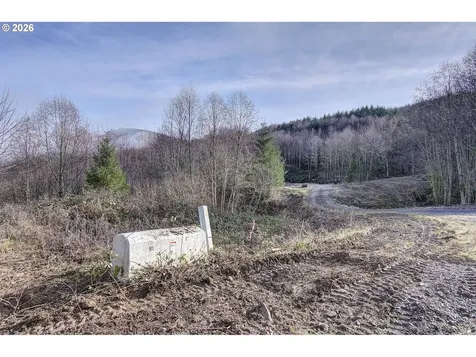 0 Remington Drive Kelso WA 98626