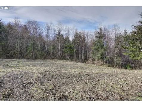 0 Remington Drive Kelso WA 98626
