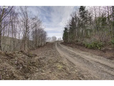 0 Remington Drive Kelso WA 98626