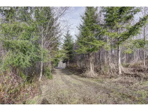 0 Remington Drive Kelso WA 98626