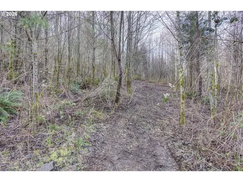 0 Remington Drive Kelso WA 98626