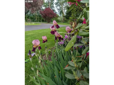 570 Drews Prairie Road Winlock WA 98596
