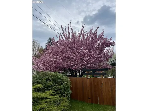 3004 NE 54th Street Vancouver WA 98663