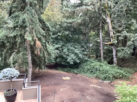 3780 Vine Maple Street Eugene OR 97405