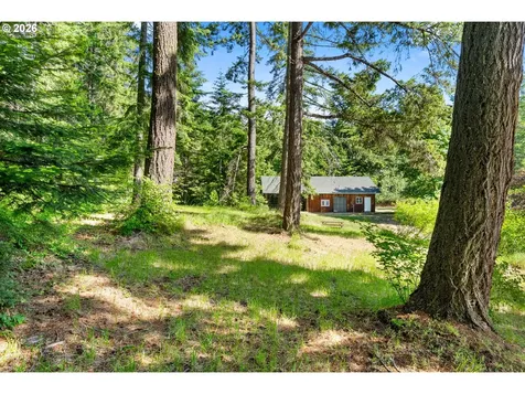 49 Echo Glen Road White Salmon WA 98672