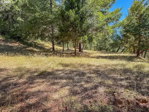 27001 State Highway 42 Camas Valley OR 97416