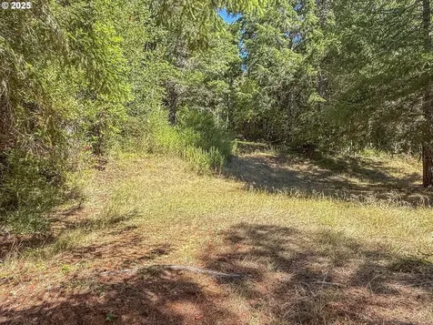 27001 State Highway 42 Camas Valley OR 97416