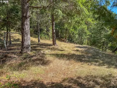 27001 State Highway 42 Camas Valley OR 97416