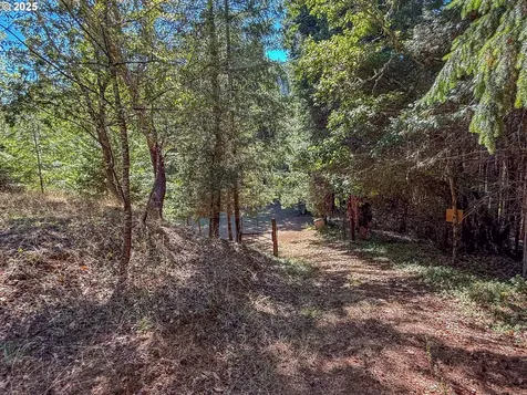 27001 State Highway 42 Camas Valley OR 97416