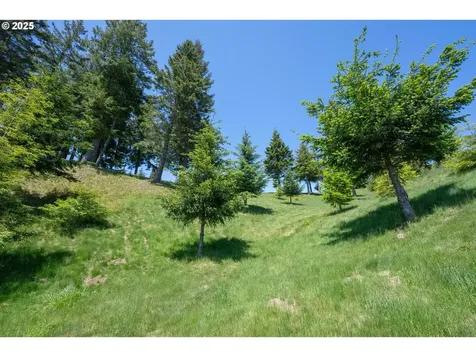 Bridgeview Drive Brookings OR 97415