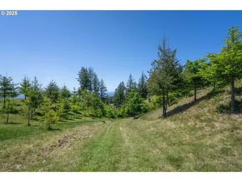 Bridgeview Drive Brookings OR 97415
