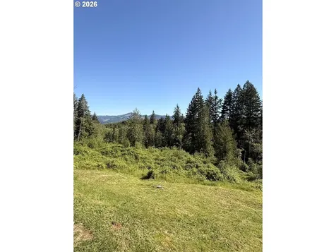 7300 NE 410th Street La Center WA 98629
