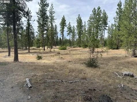 3 Greyback Mt Road Goldendale WA 98620