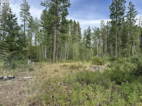 3 Greyback Mt Road Goldendale WA 98620