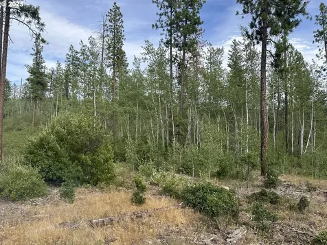 3 Greyback Mt Road Goldendale WA 98620