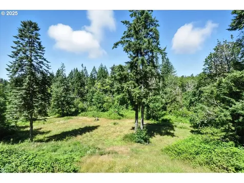 35016 NE Gable Avenue La Center WA 98629