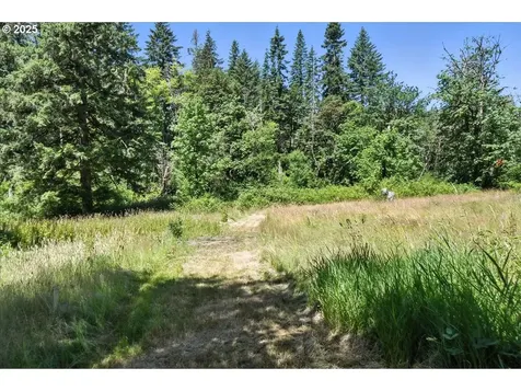 35016 NE Gable Avenue La Center WA 98629