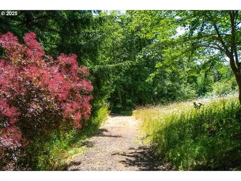 173 Upland Drive Woodland WA 98674