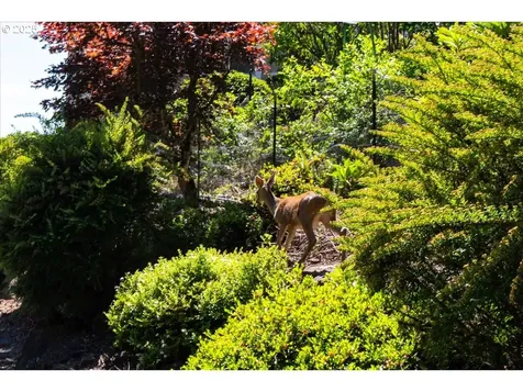 173 Upland Drive Woodland WA 98674