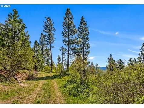 61615 High Valley Road Union OR 97883