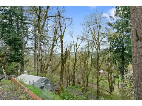 823 Terrace Drive Scotts Mills OR 97375