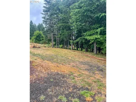 863 C Street Elkton OR 97436