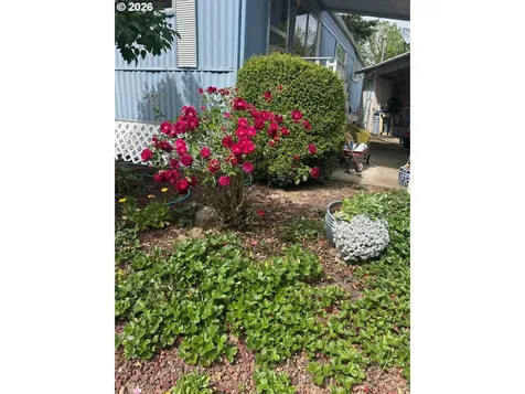 570 N 10th Avenue Cornelius OR 97113