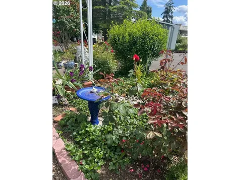 570 N 10th Avenue Cornelius OR 97113