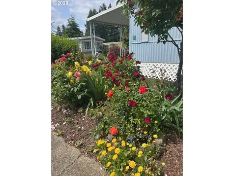 570 N 10th Avenue Cornelius OR 97113