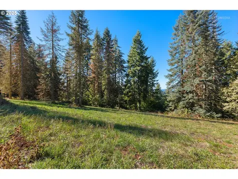 2970 SW Schaeffer Road West Linn OR 97068