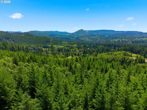 225 Ham Road Amboy WA 98601