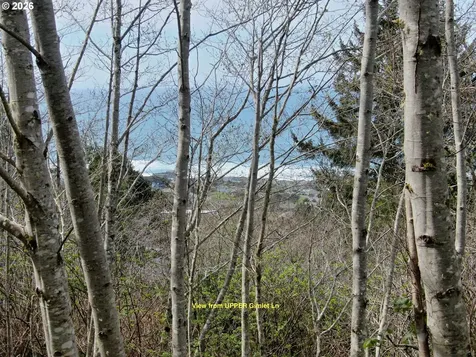16 Gimlet Lane Yachats OR 97498
