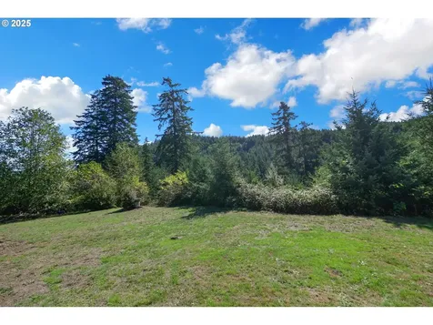 89550 Dick Way Florence OR 97439