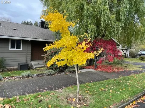 7318 SW Nevada Terrace Portland OR 97219