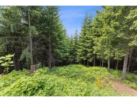 6015 NW High Heaven Road Mcminnville OR 97128