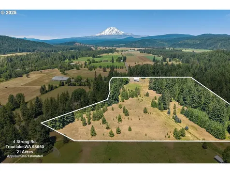 4 Strong Road Trout Lake WA 98650
