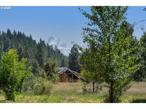 4 Strong Road Trout Lake WA 98650