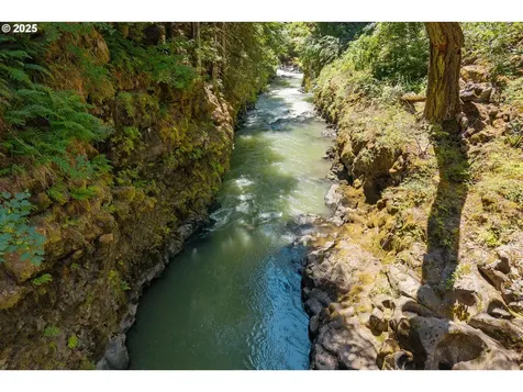 4 Strong Road Trout Lake WA 98650
