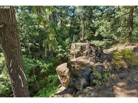 4 Strong Road Trout Lake WA 98650